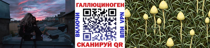 Псилоцибиновые грибы ЛСД  как найти   Чегем 
